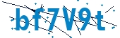 recaptcha